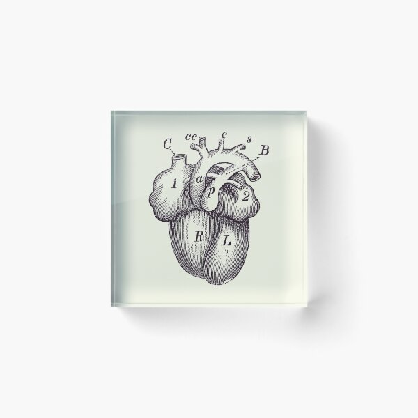 Item preview, Simple Human Heart Diagram 2 designed and sold by VAposters.