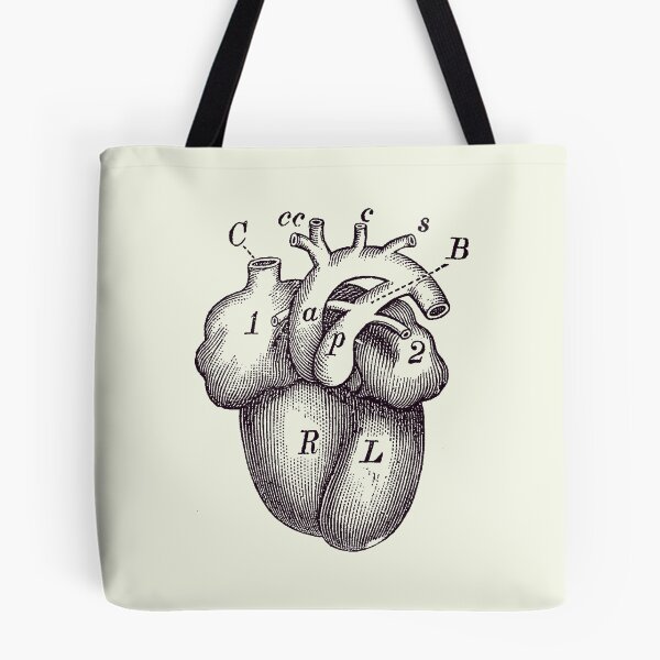 Item preview, Simple Human Heart Diagram 2 designed and sold by VAposters.