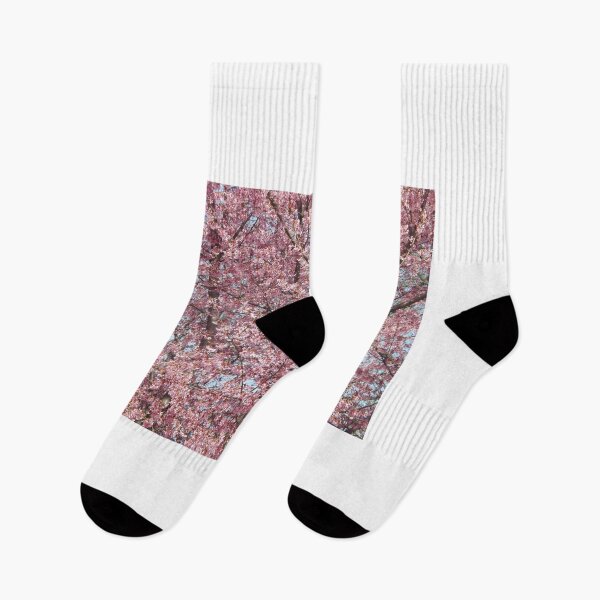 Item preview, Spring Colors, Central Park, New York City designed and sold by lenspiro.