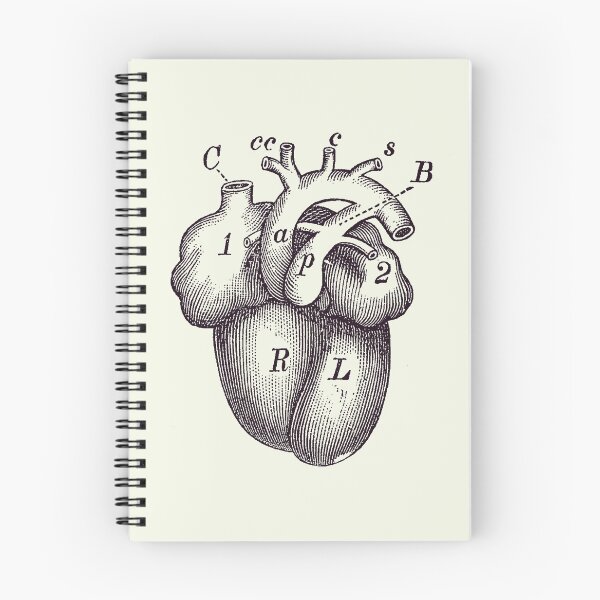 Item preview, Simple Human Heart Diagram 2 designed and sold by VAposters.