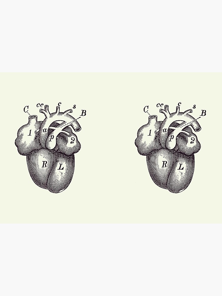 Simple Human Heart - Dual View - Vintage Anatomy Poster Jigsaw Puzzle by  Vintage Anatomy Prints - Pixels