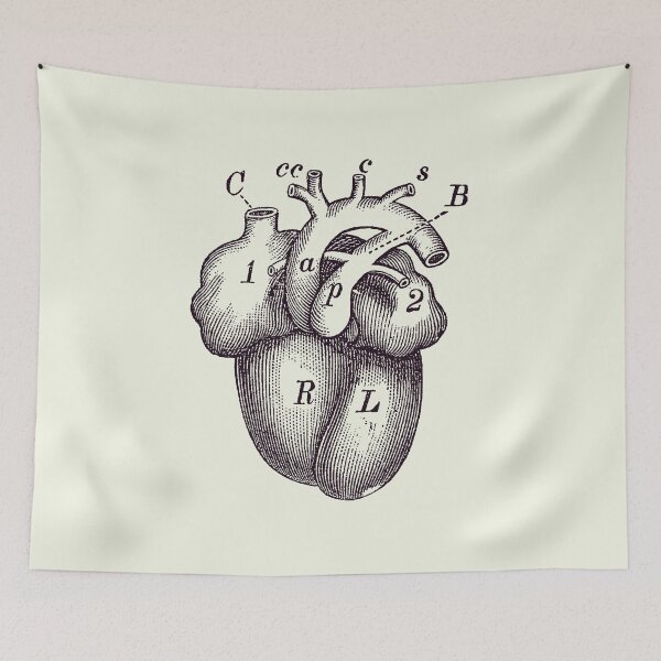 Item preview, Simple Human Heart Diagram 2 designed and sold by VAposters.