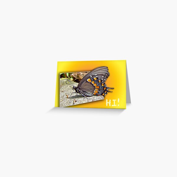 Hi - Hello - How Are You - Butterfly Greeting Greeting Card