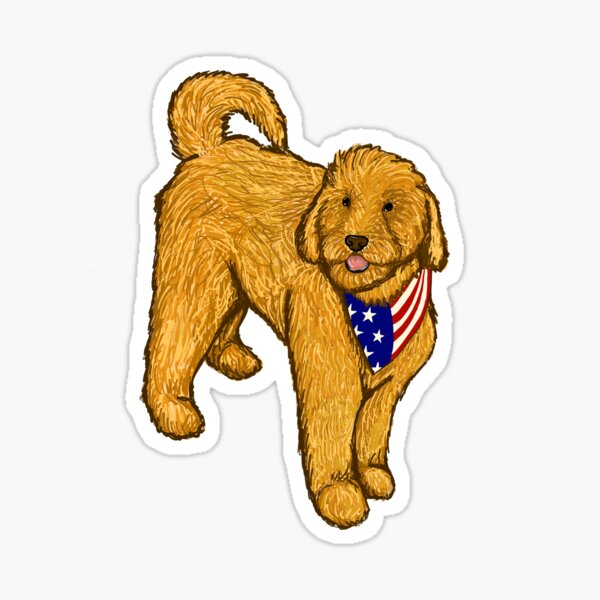 Yankee Golden Doodle Dandy 4th of July Funny Dog Shirt 