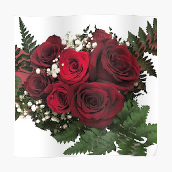 Red Rose Flower Pic Poster