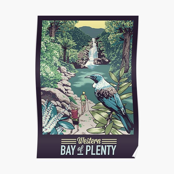 24 x 36 Bullers Albatross nesting among coastal plants Snares Islands New Zealand Poster Print by Tui De Roy 24 x 36 Bullers Albatross nesting among coastal plants Snares Islands New Zealand Poster Print by Tui De Roy