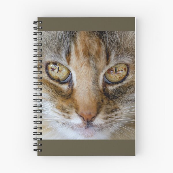 Item preview, Cat Eyes designed and sold by Squirrel-Girl.