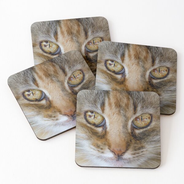 Item preview, Cat Eyes designed and sold by Squirrel-Girl.