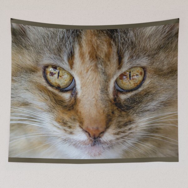 Item preview, Cat Eyes designed and sold by Squirrel-Girl.