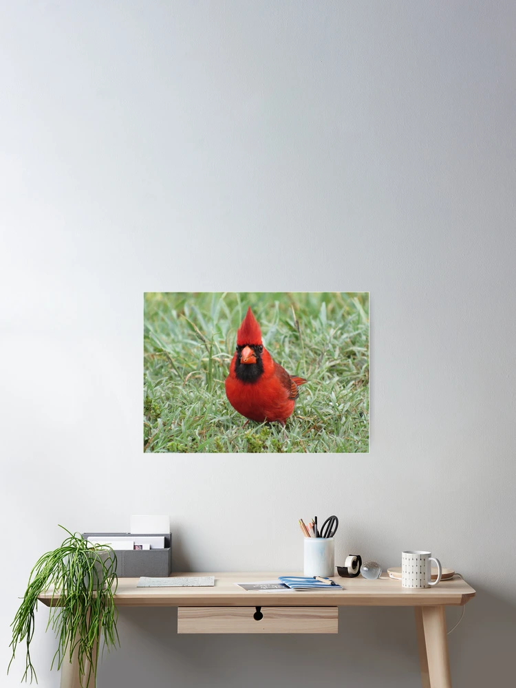 Thumbnail 2 of 3, Poster, The Cardinal designed and sold by InGFocus.
