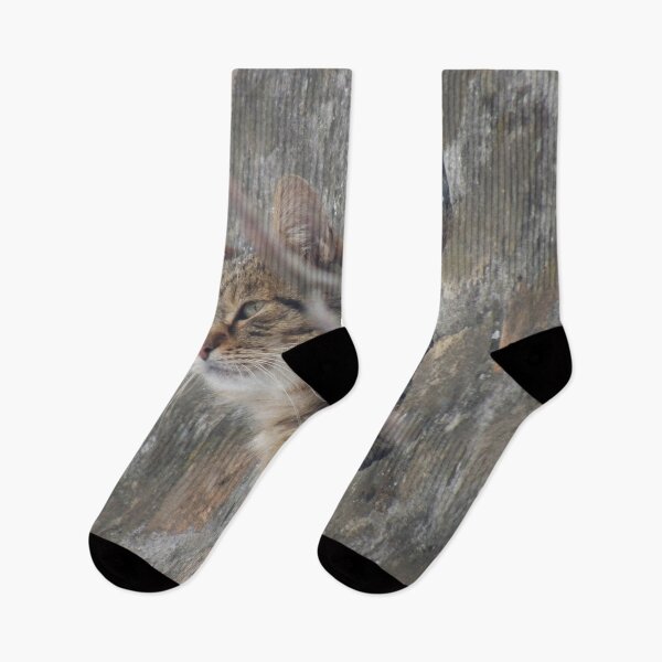 Item preview, Cat view designed and sold by Kissart.