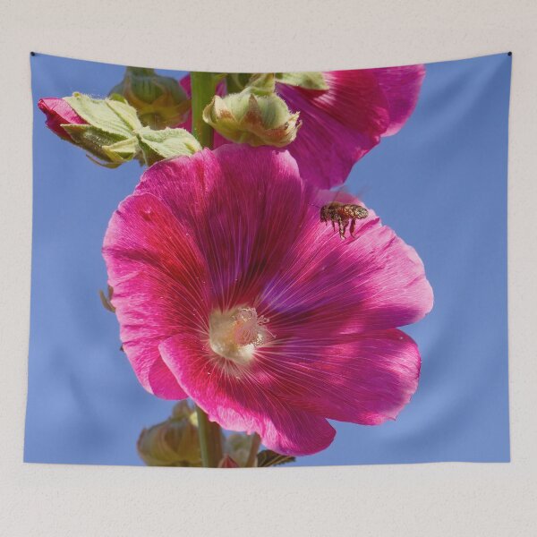Item preview, Brilliant Pink Hollyhock designed and sold by Squirrel-Girl.