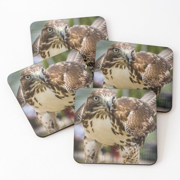 Item preview, Hawk Profile designed and sold by Robert Alsop.