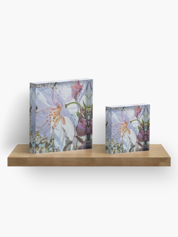 Alternate view of Sparks - spring cherry blossom painting Acrylic Block