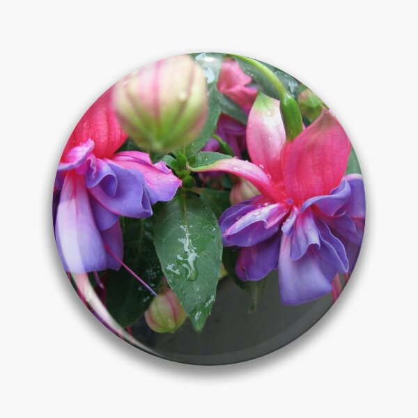Artikelvorschau, Raindrops on Fuchsia Bells and Buds - Framed Vignette entworfen und verkauft von BlueMoonRose.