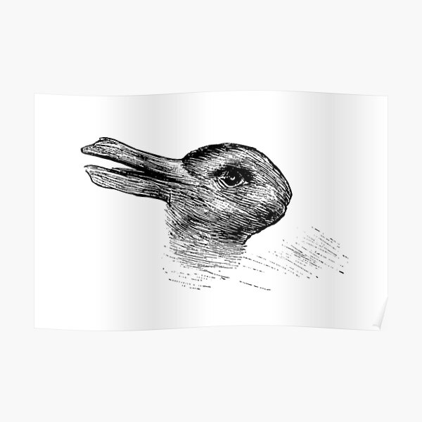 Which do you see? Bunny rabbit or duck illusion art Poster