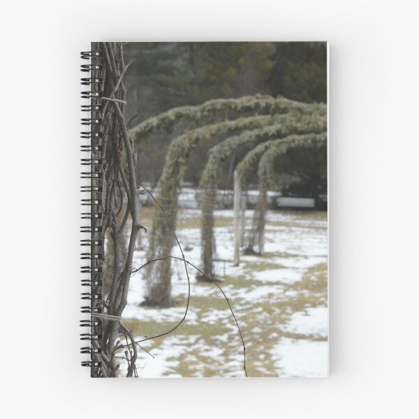 Item preview, Arches in the Distance designed and sold by ALenihanPhoto.