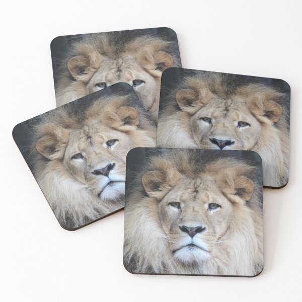 Item preview, Serious Fluffy Lion designed and sold by smh2.