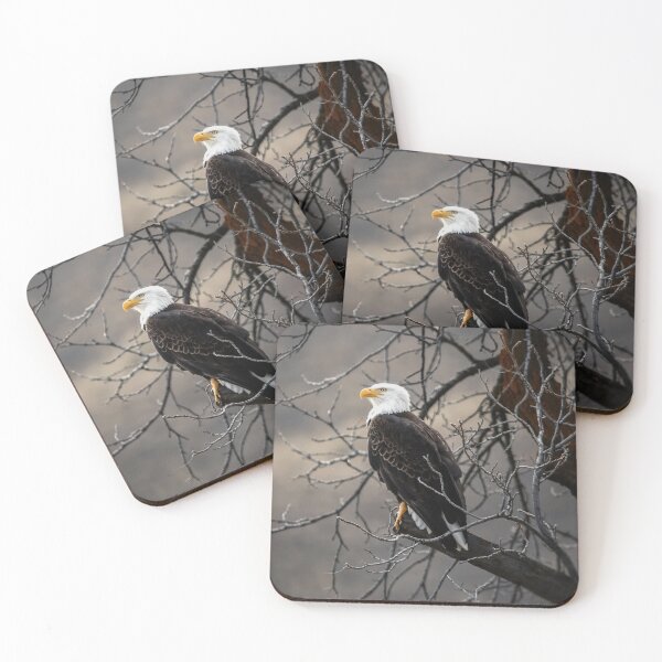 Item preview, White and brown eagle on tree branch designed and sold by Love2Adventure.