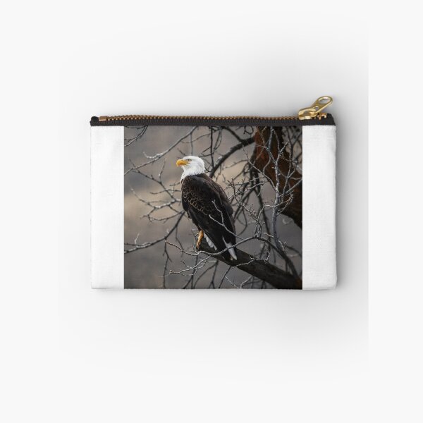 Item preview, White and brown eagle on tree branch designed and sold by Love2Adventure.