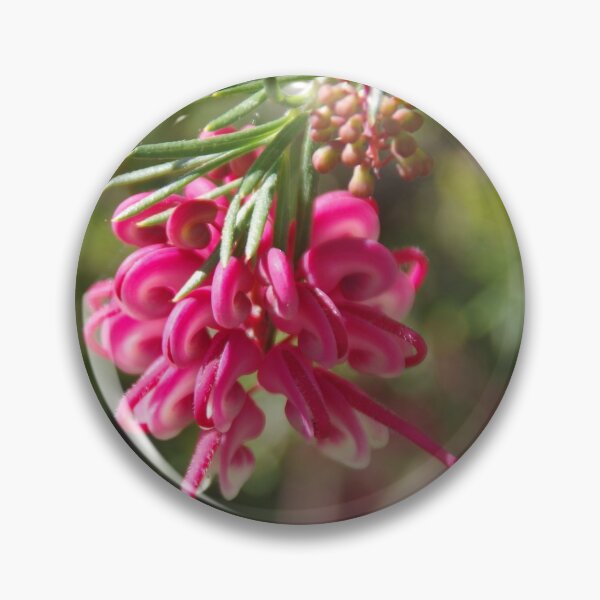 Item preview, Baldivis Grevillea (G. preissii) designed and sold by lezvee.