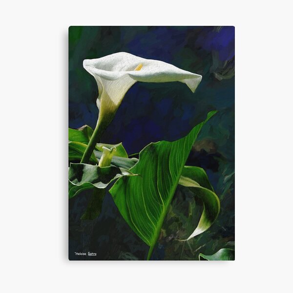 HC 29 Flowers Canvas Print