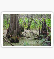 Swamp Floor Sticker