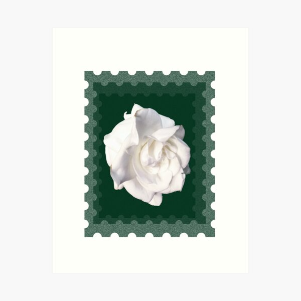 Item preview, Gardenia designed and sold by psphotogallery.
