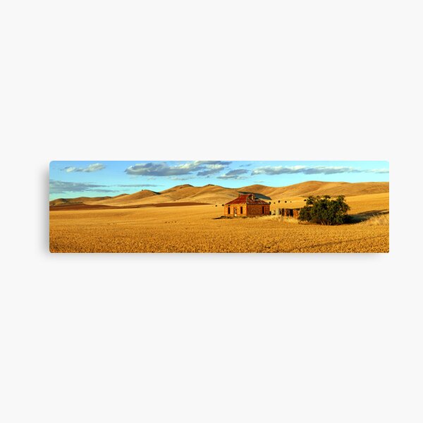 Abandoned Mid North Homestead Canvas Print