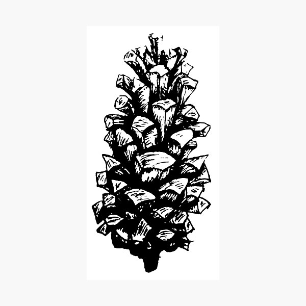 Item preview, O-pine cone designed and sold by Lawless-land.