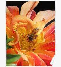 Golden Nectar Poster