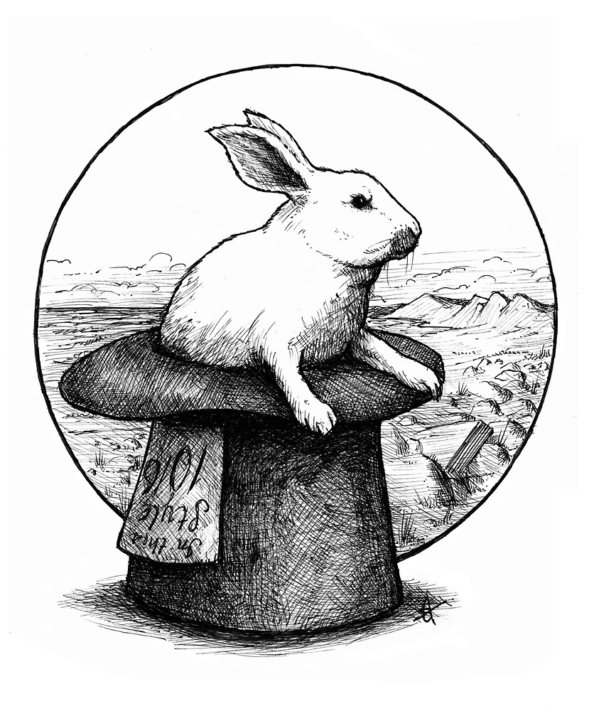 Wilbur The Rabbit