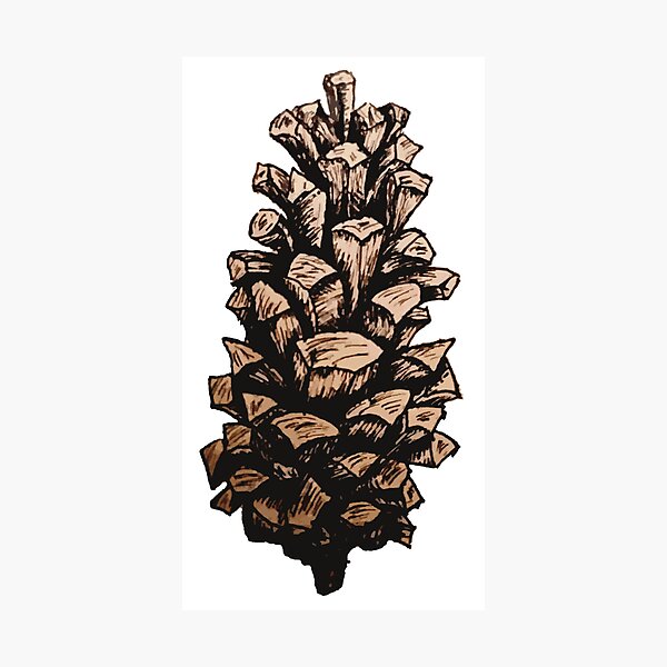 Item preview, O-pine cone color designed and sold by Lawless-land.