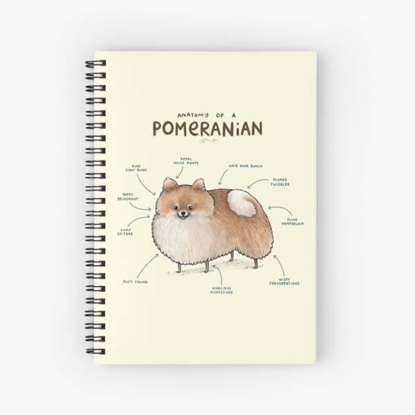Item preview, Anatomy of a Pomeranian designed and sold by SophieCorrigan.
