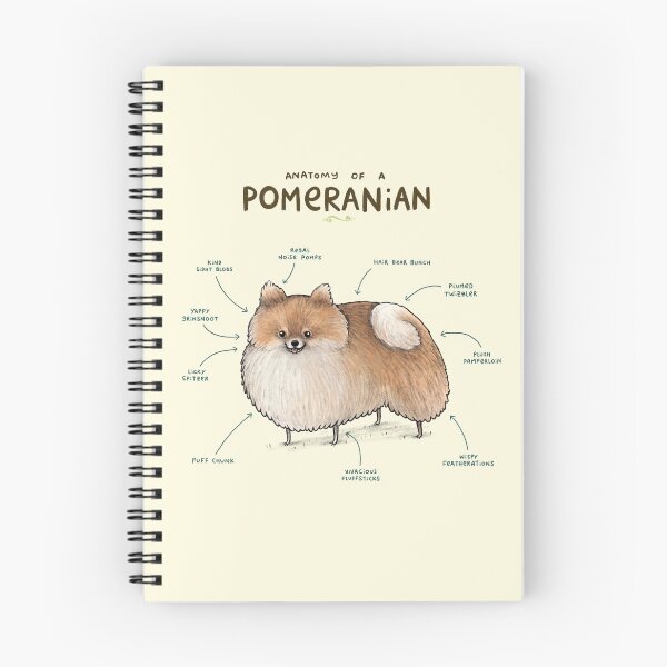 Item preview, Anatomy of a Pomeranian designed and sold by SophieCorrigan.