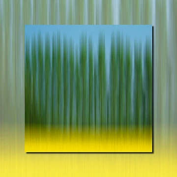 Artwork thumbnail, Abstract Oilseed Rape Field by Pixie Copley LRPS