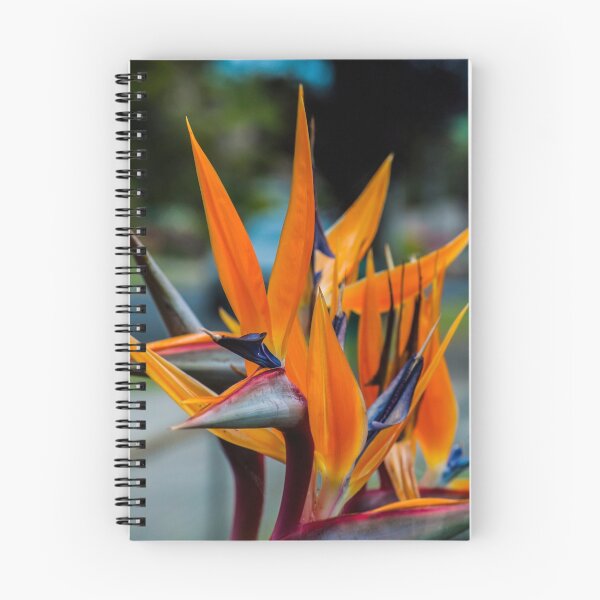 Item preview, Bird of Paradise Plant designed and sold by thehazelifted.