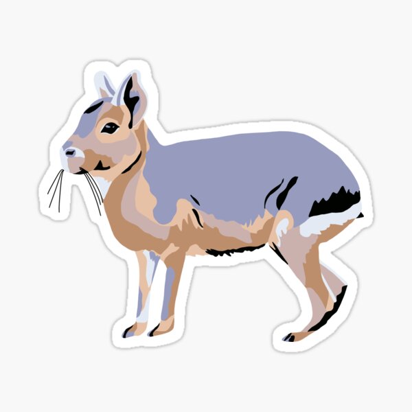 Patagonian Mara / Cavy Portrait Sticker