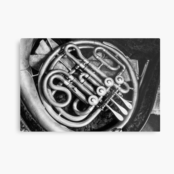 French Horn Metal Print