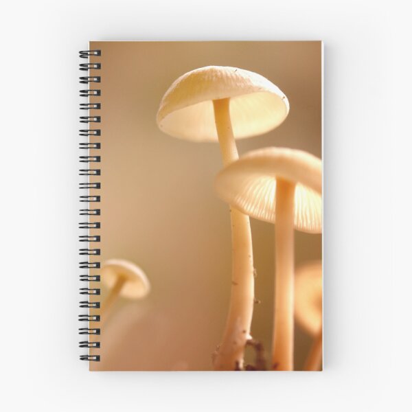 Item preview, new arrival designed and sold by lensbaby.