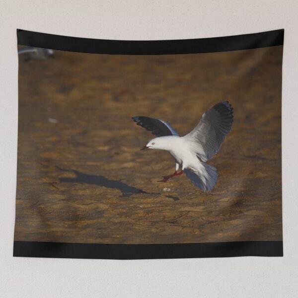 Item preview, A Seagull Coming In To Land At Dawn designed and sold by Jason Gilbert.