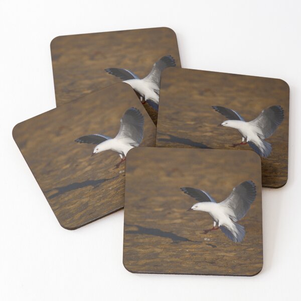 Item preview, A Seagull Coming In To Land At Dawn designed and sold by Jason Gilbert.