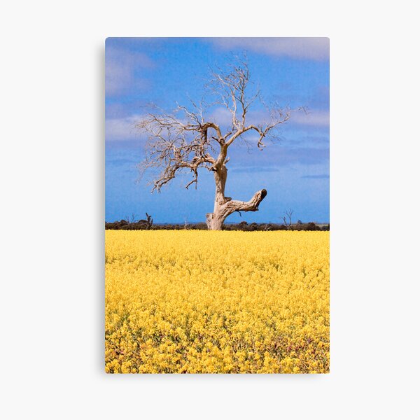 Item preview, Canola Field designed and sold by ImagesbyDi.