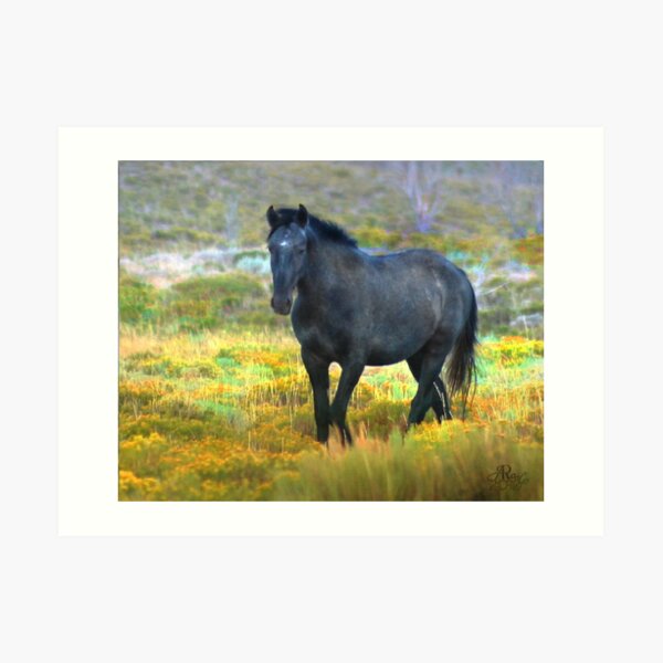 Gentleman Gray Art Print