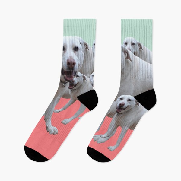 Item preview, Just a Happy Dog.  cute, sweet, cool, funny, dogs, dog, children, kids, pets, Redbubble. designed and sold by PrintedDreams.