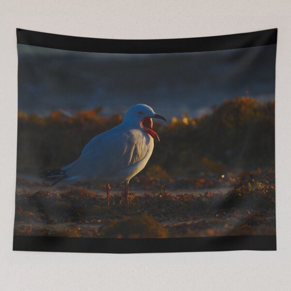 Item preview, A Seagull With Its Mouth Wide Open At Dawn designed and sold by Jason Gilbert.
