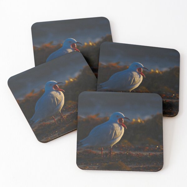 Item preview, A Seagull With Its Mouth Wide Open At Dawn designed and sold by Jason Gilbert.