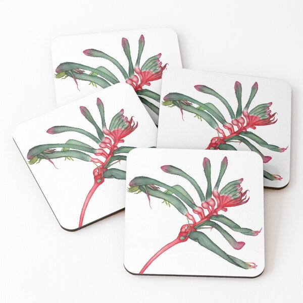Item preview, Kangaroo Paw Flower designed and sold by Siara-Studio.
