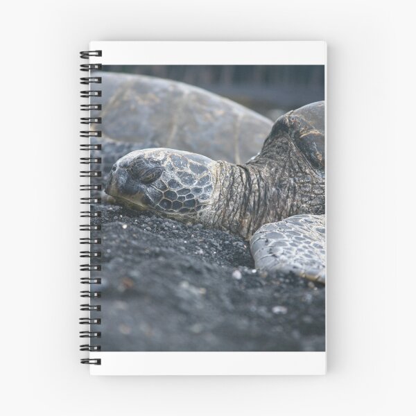 Item preview, Endangered Hawaiian Turtle designed and sold by Captures Of Creation.