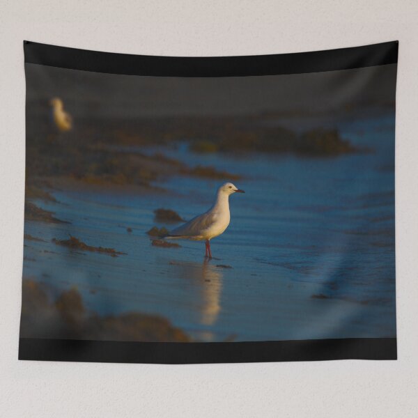 Item preview, A Seagull Staring Into The Ocean At Dawn designed and sold by Jason Gilbert.